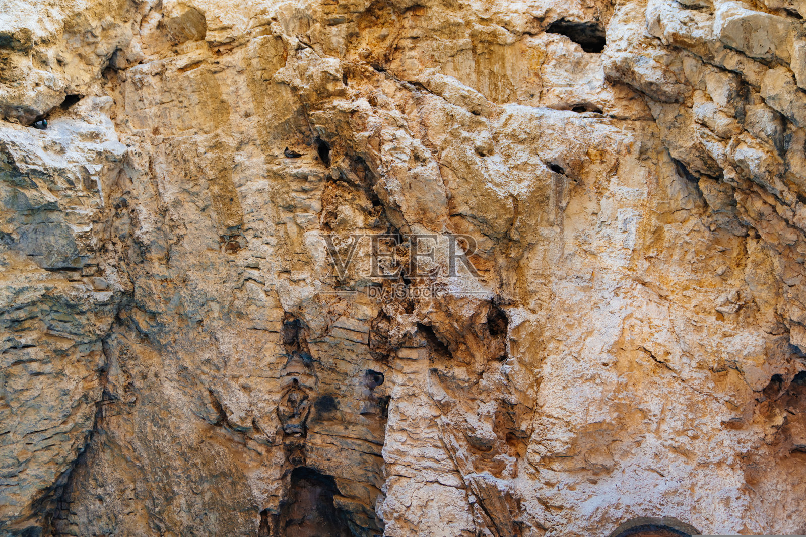 有洞穴的岩石筑巢的鸟。鸟在山上筑巢。照片摄影图片
