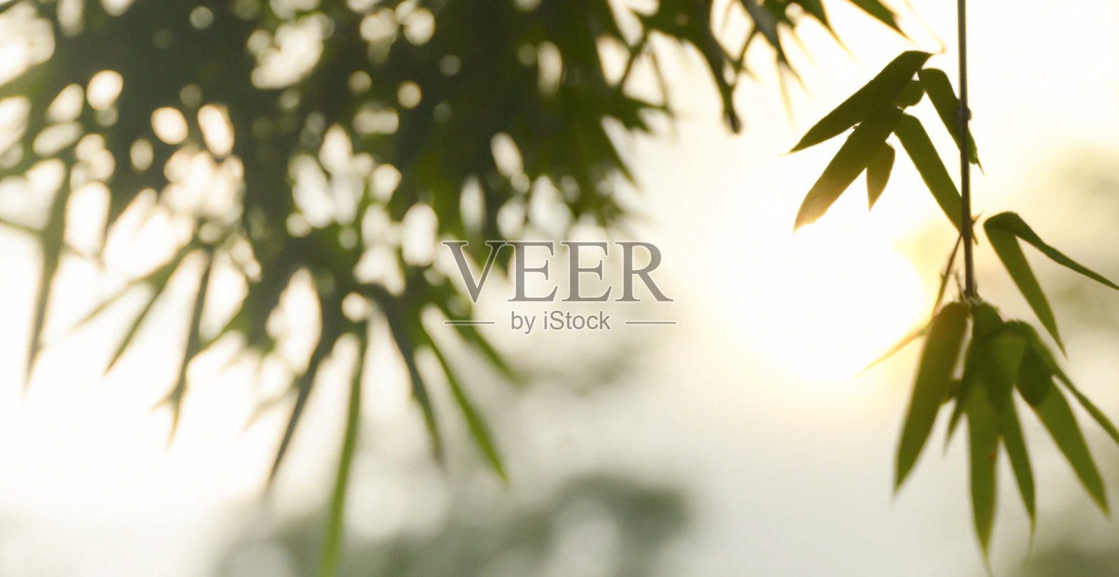 日出时的自然背景照片摄影图片