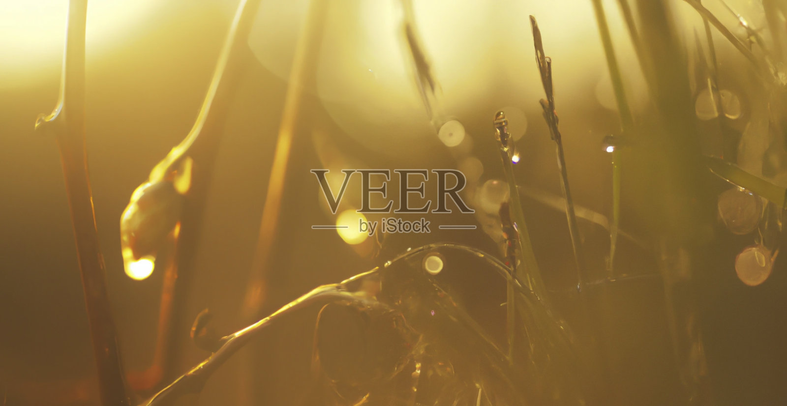 日出时的自然背景照片摄影图片