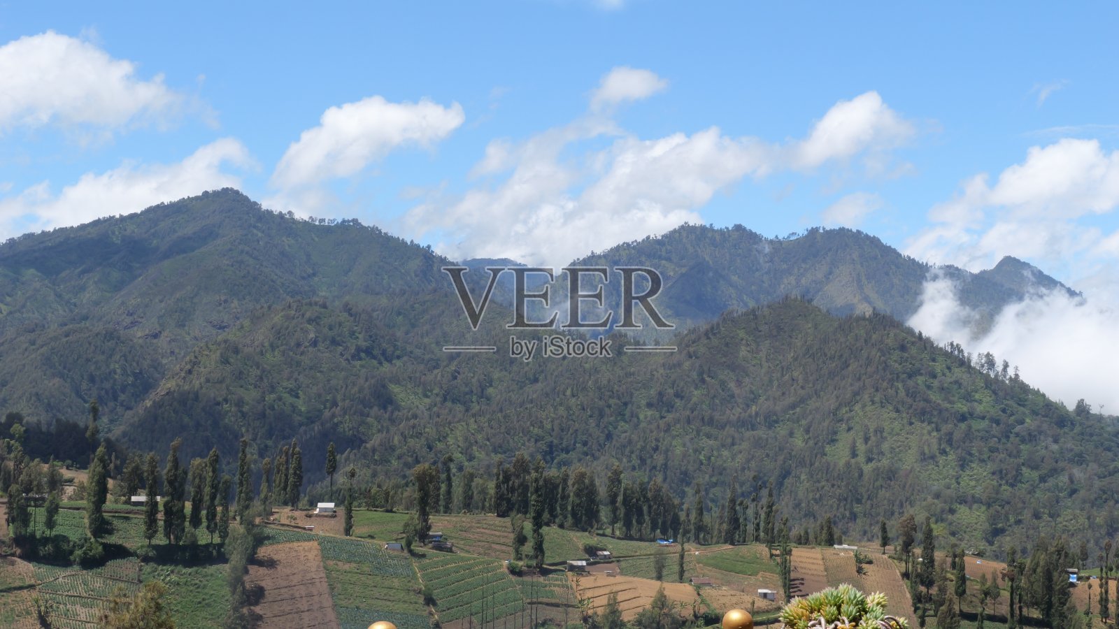 马郎的Ngadas村景观，山上的村庄照片摄影图片