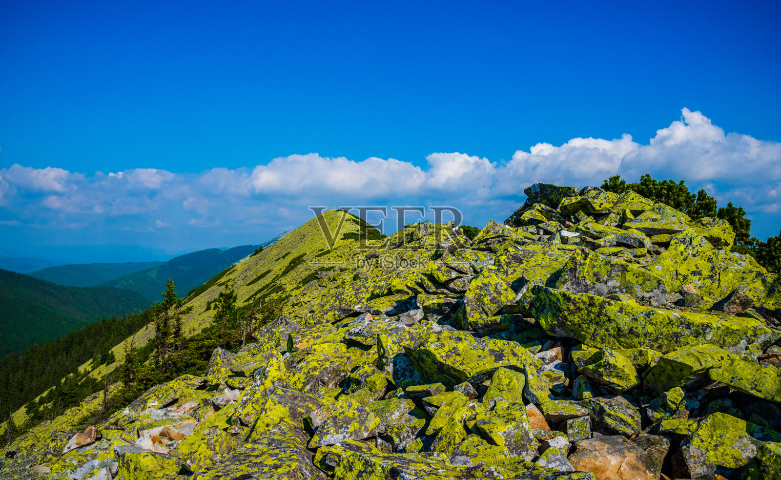 Gorgany自然保护区照片摄影图片