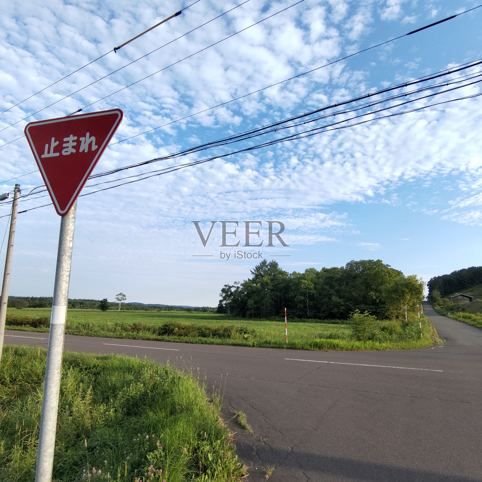 在日本的乡下有停止标志照片摄影图片