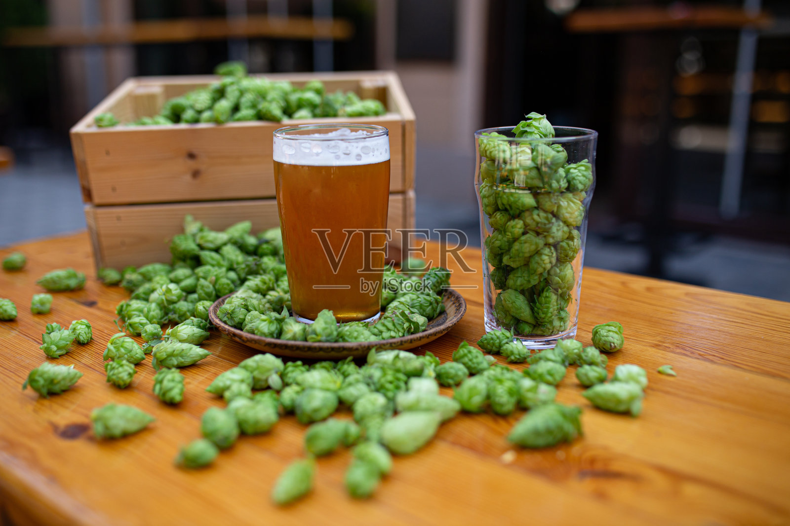 啤酒酒吧桌上的一品脱精酿啤酒，里面有很多小麦和绿色啤酒花照片摄影图片