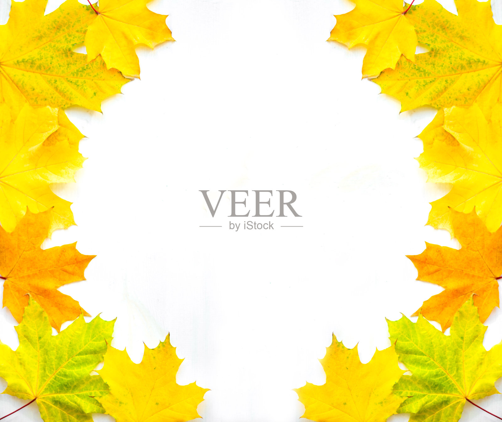 秋叶背景照片摄影图片