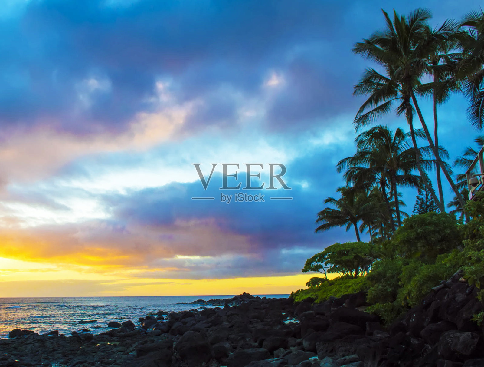 创意瓦胡岛北岸，夏威夷图片照片摄影图片