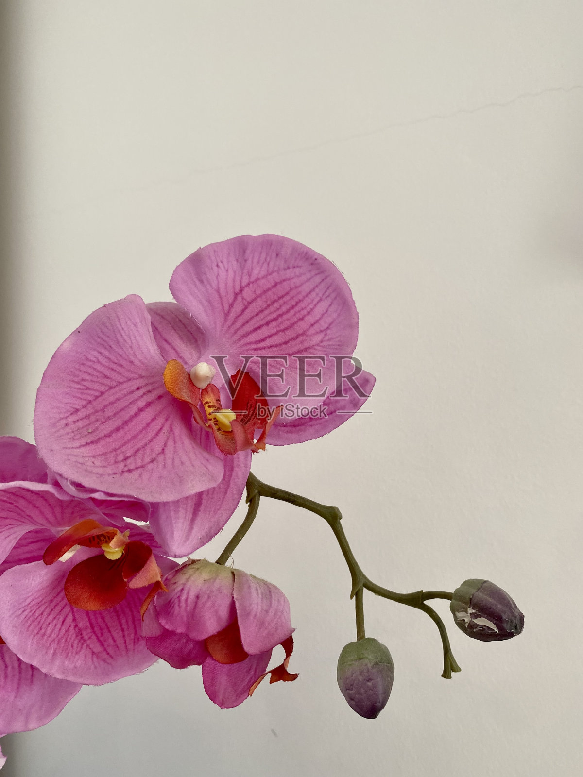 家居装饰照片摄影图片