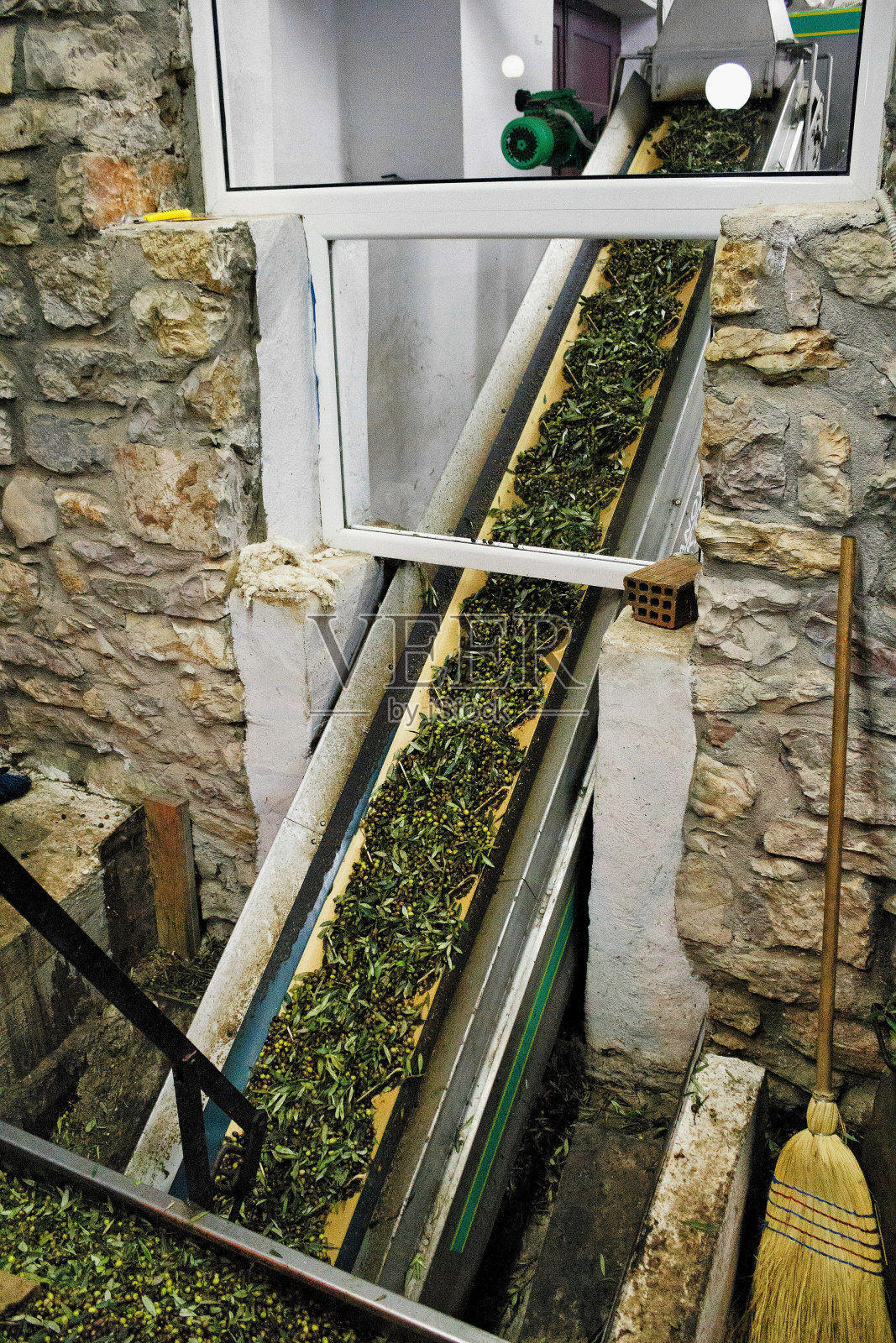 希腊特级初榨橄榄油的开采照片摄影图片