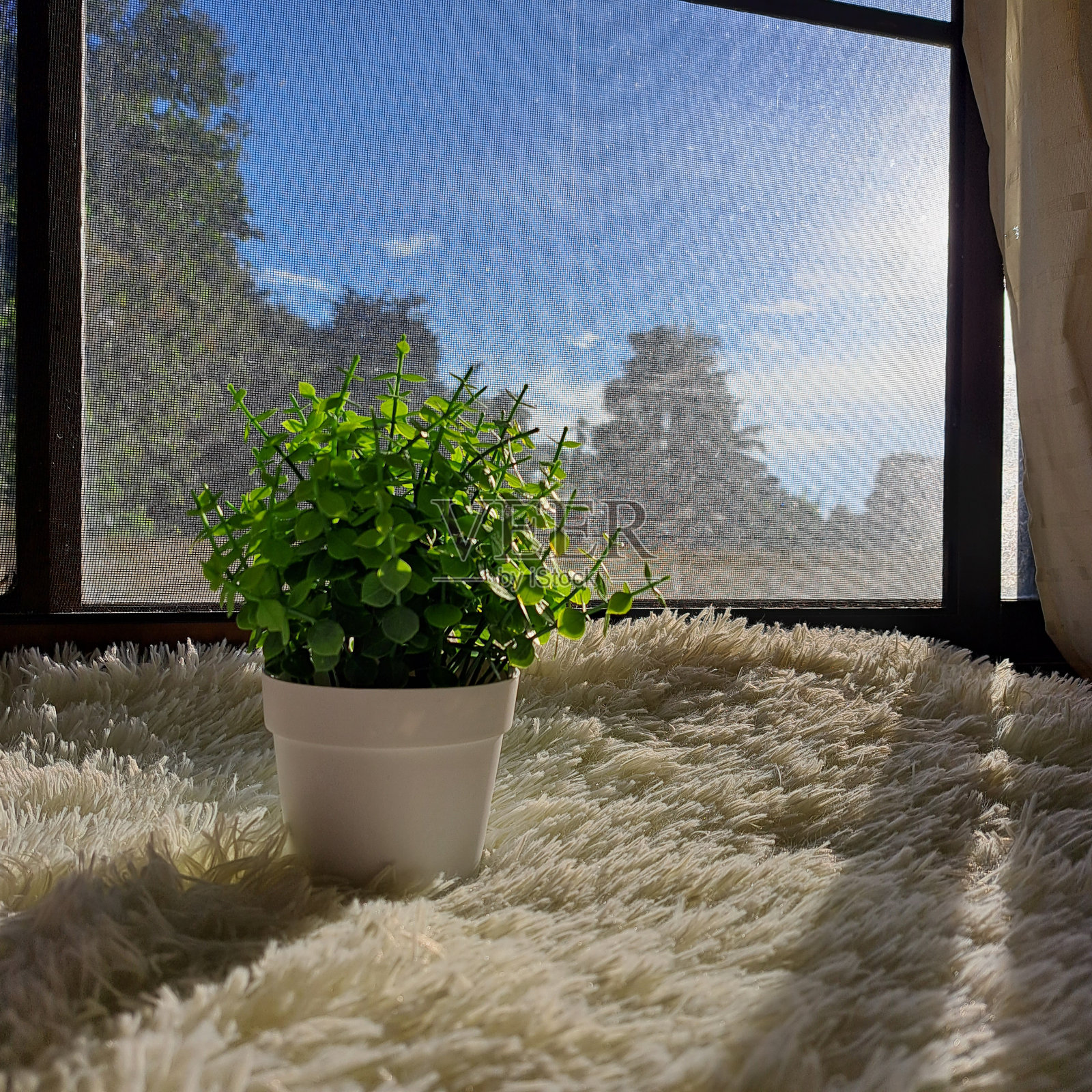 人工植物在白色的花盆在白色的桌子，白色的墙背为室内装饰，极简主义照片摄影图片