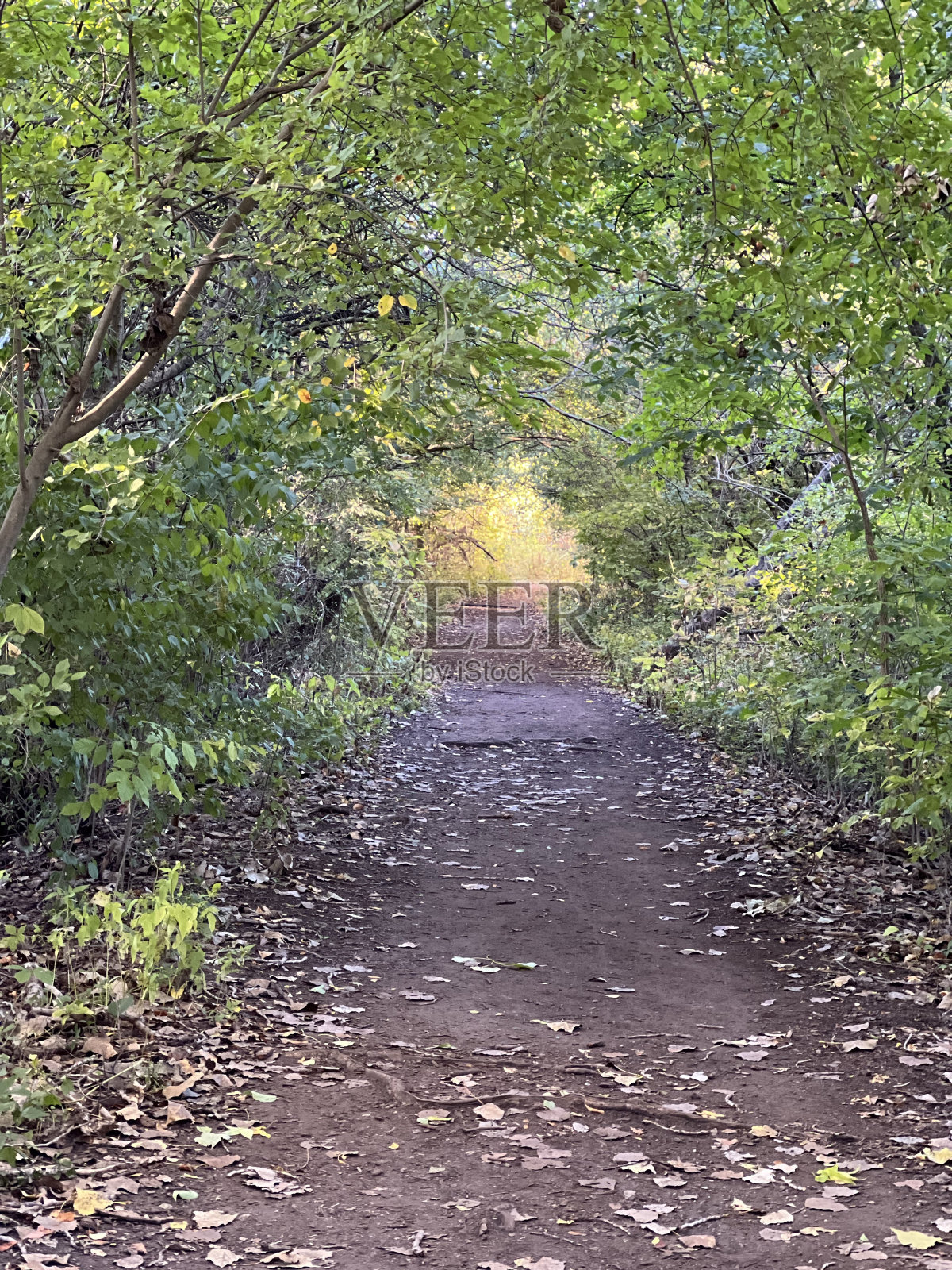 最后的光照片摄影图片
