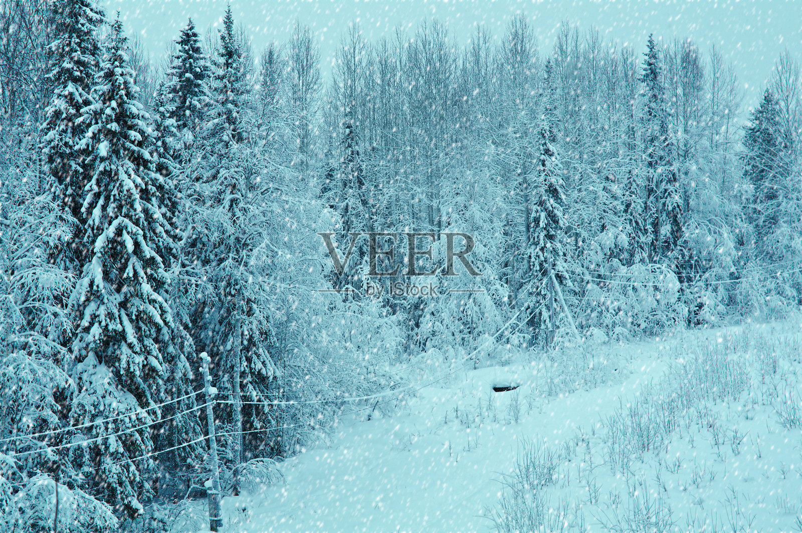 冬天的风景照片摄影图片