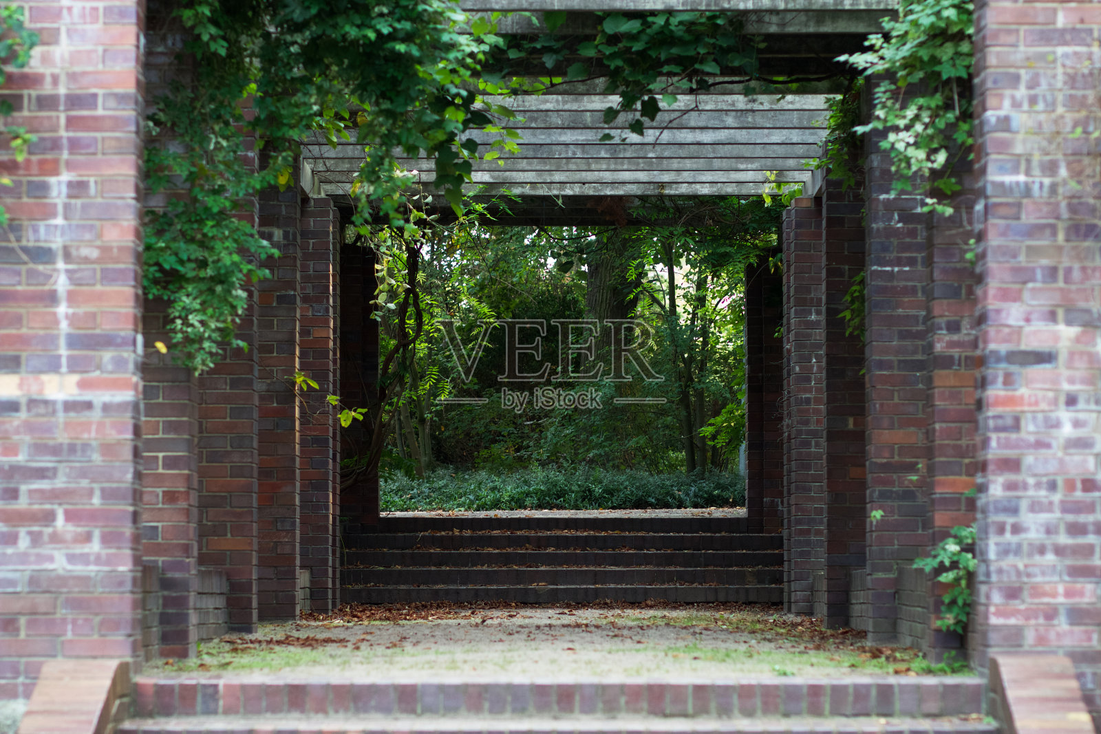 在波兰波兹南市的植物园里，一条有遮蔽物的小路照片摄影图片