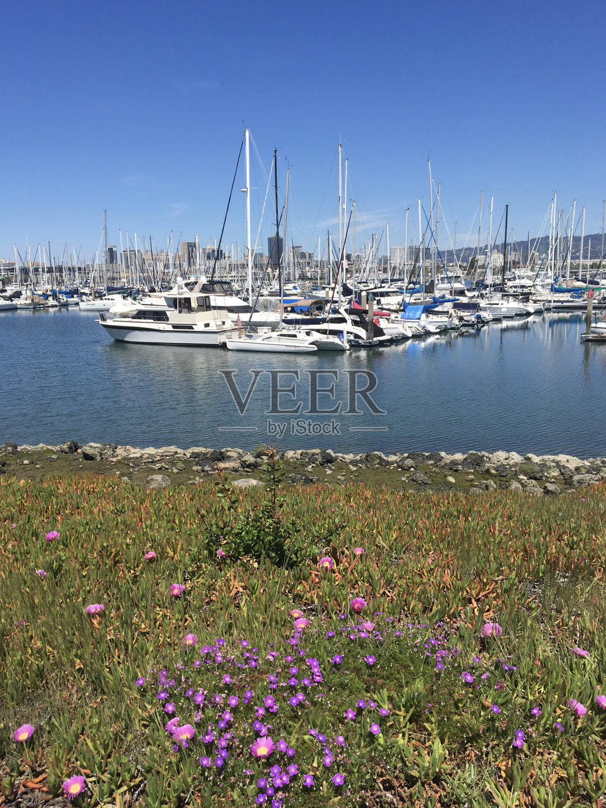 奥克兰市和加州阿拉米达的海港景观照片摄影图片