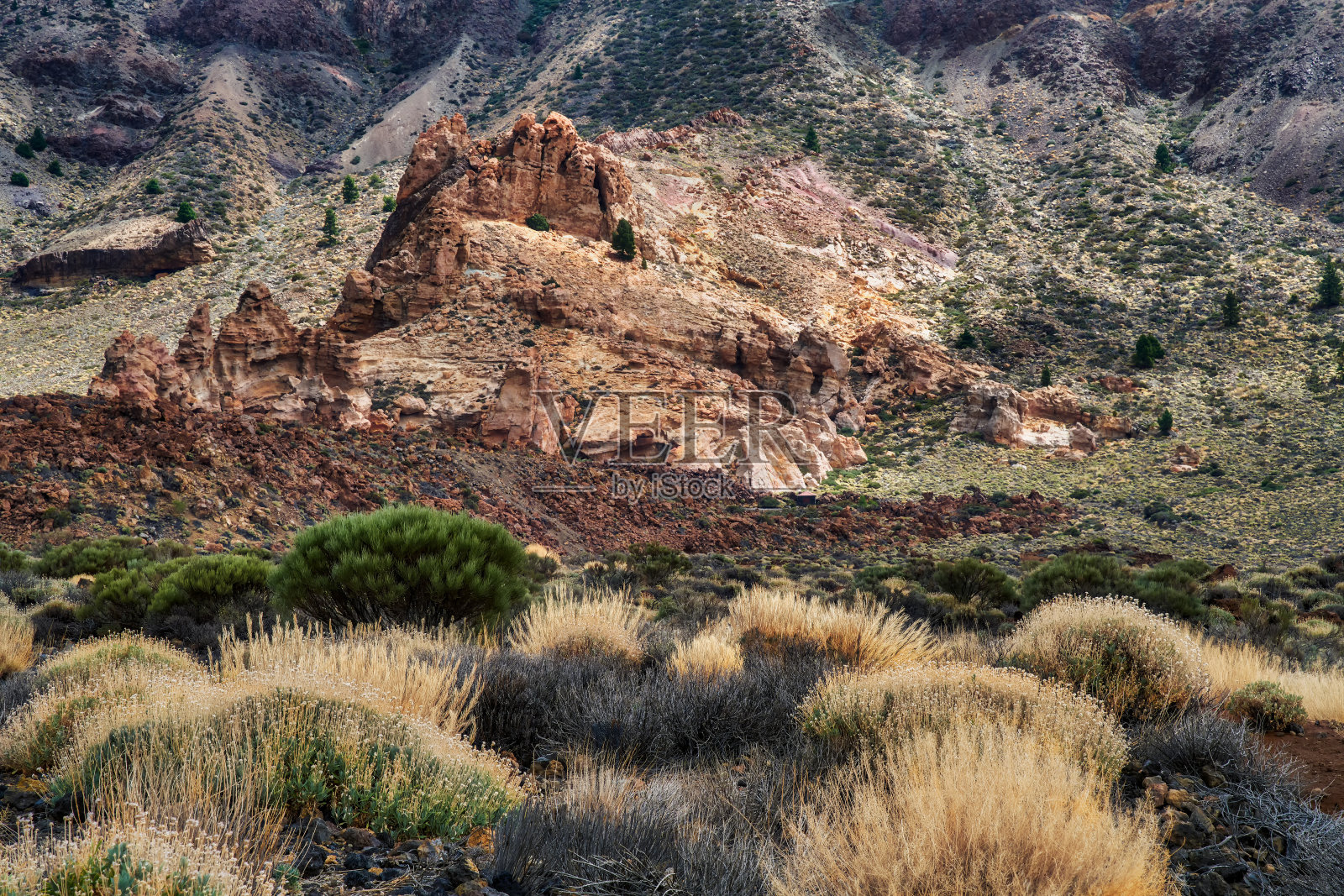 泰德国家公园，泰德火山下，特内里费岛，加那利群岛照片摄影图片