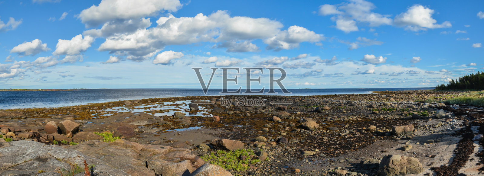 白海海岸的全景。照片摄影图片