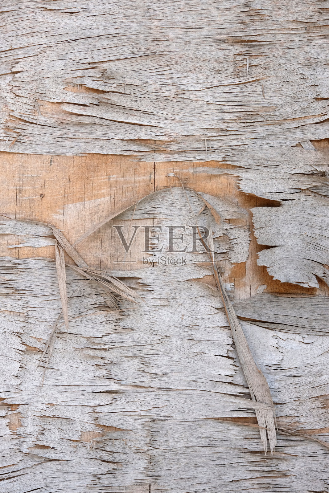 木头的纹理照片摄影图片