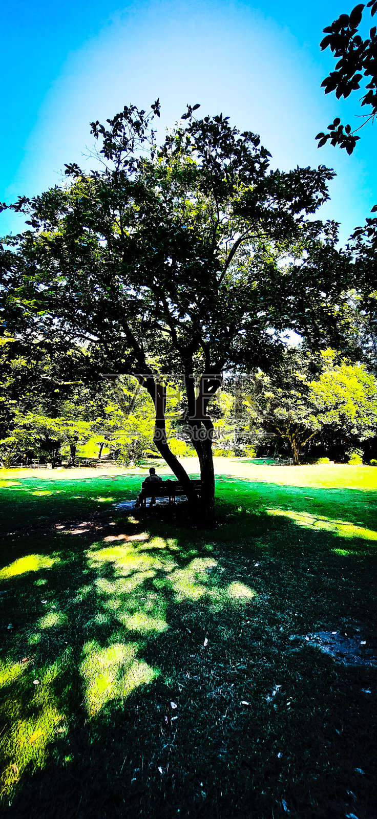 孤独但照片摄影图片