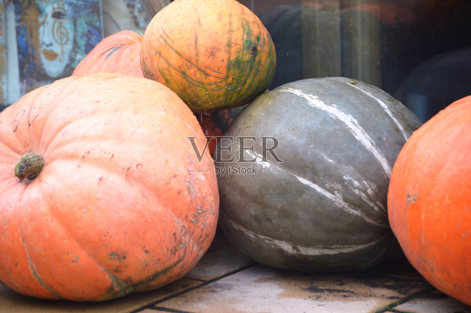 大南瓜照片摄影图片