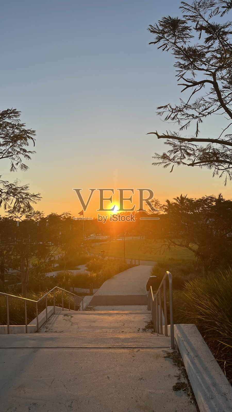 在公园看日落照片摄影图片