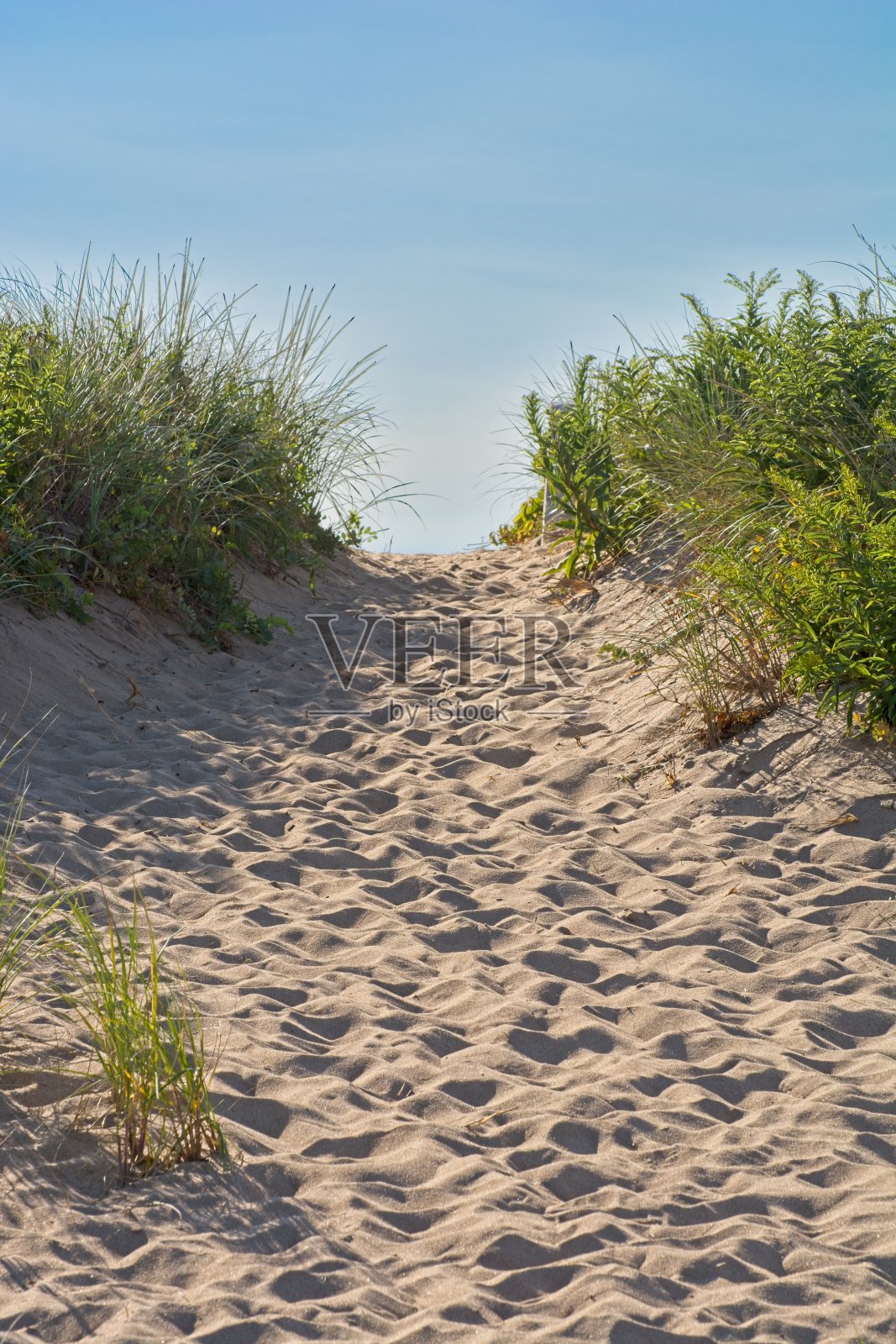 通往普拉姆岛大西洋海滩的沙丘上长满海滩草的小路照片摄影图片