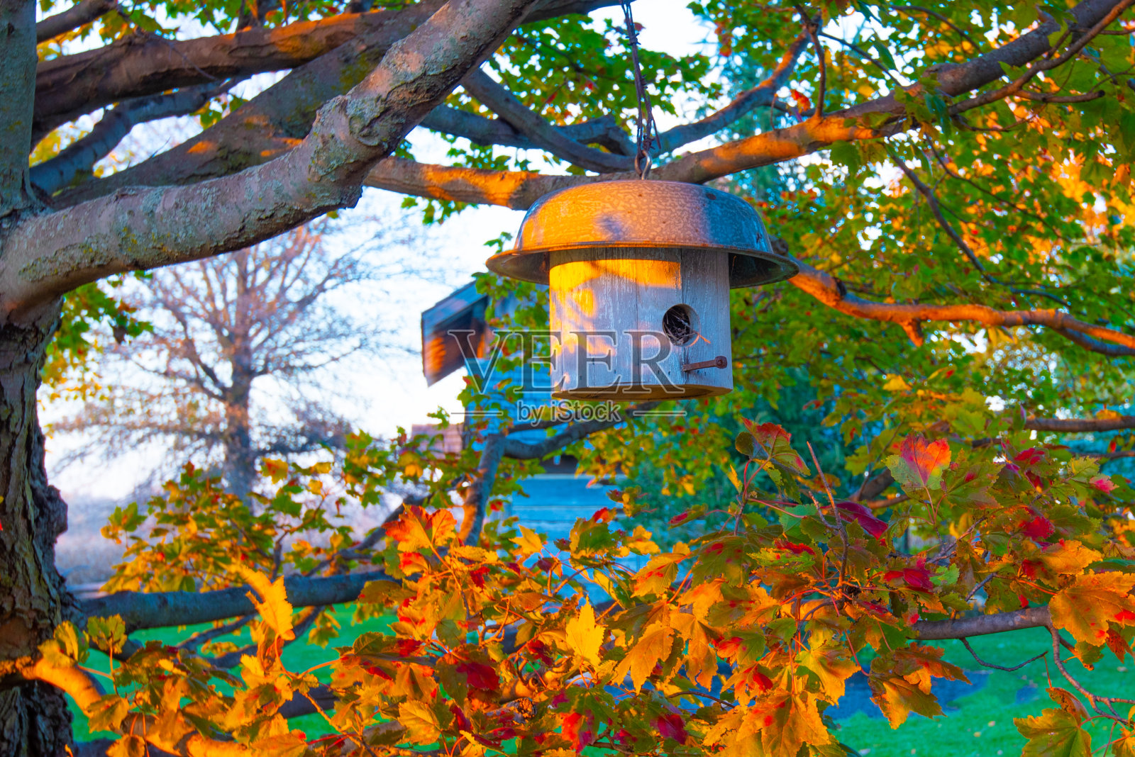 木制的鸟屋，屋顶是一个洗脸盆——印第安纳州霍华德县照片摄影图片