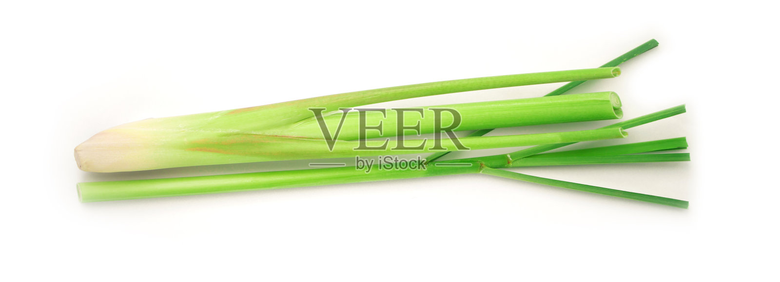 新鲜的柠檬草植物，叶子孤立在白色背景上。照片摄影图片