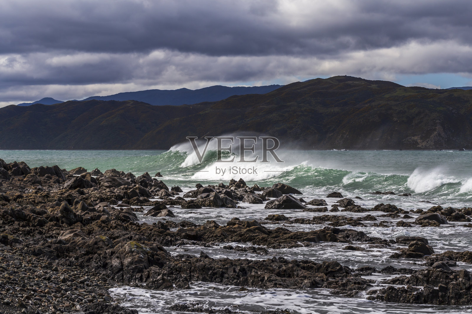 新西兰惠灵顿Wahine纪念公园的海岸景观照片摄影图片