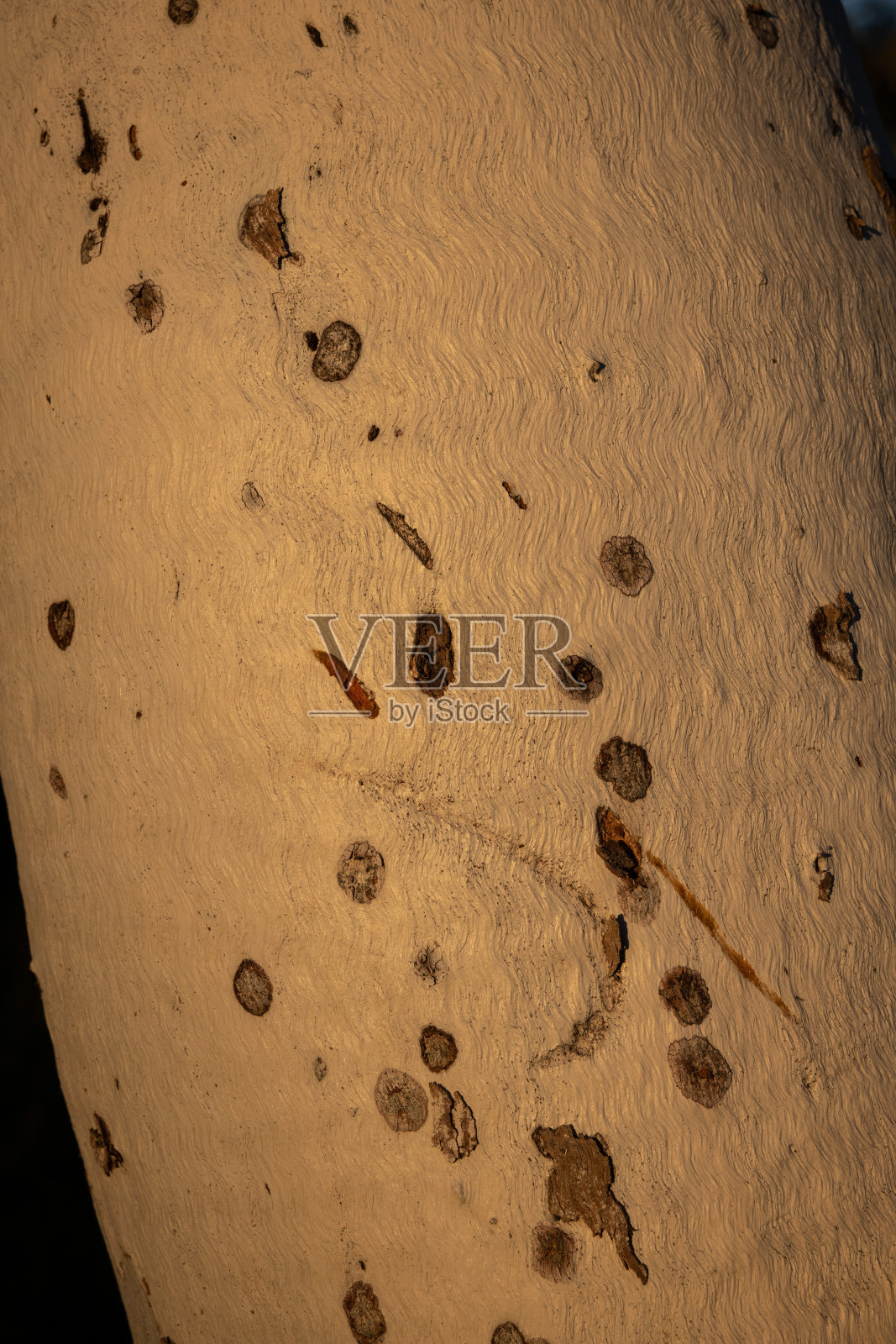 皮尔巴拉照片摄影图片