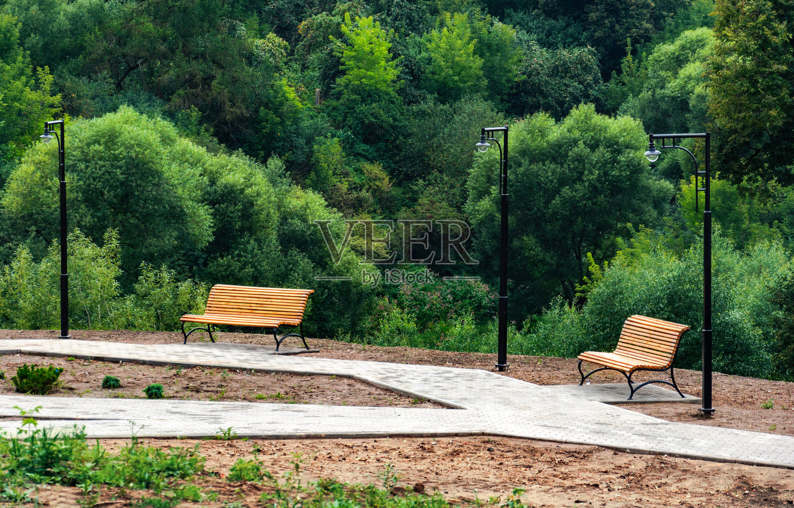 欧洲、俄罗斯。夏天的城市景观，城市公园的长椅。照片摄影图片