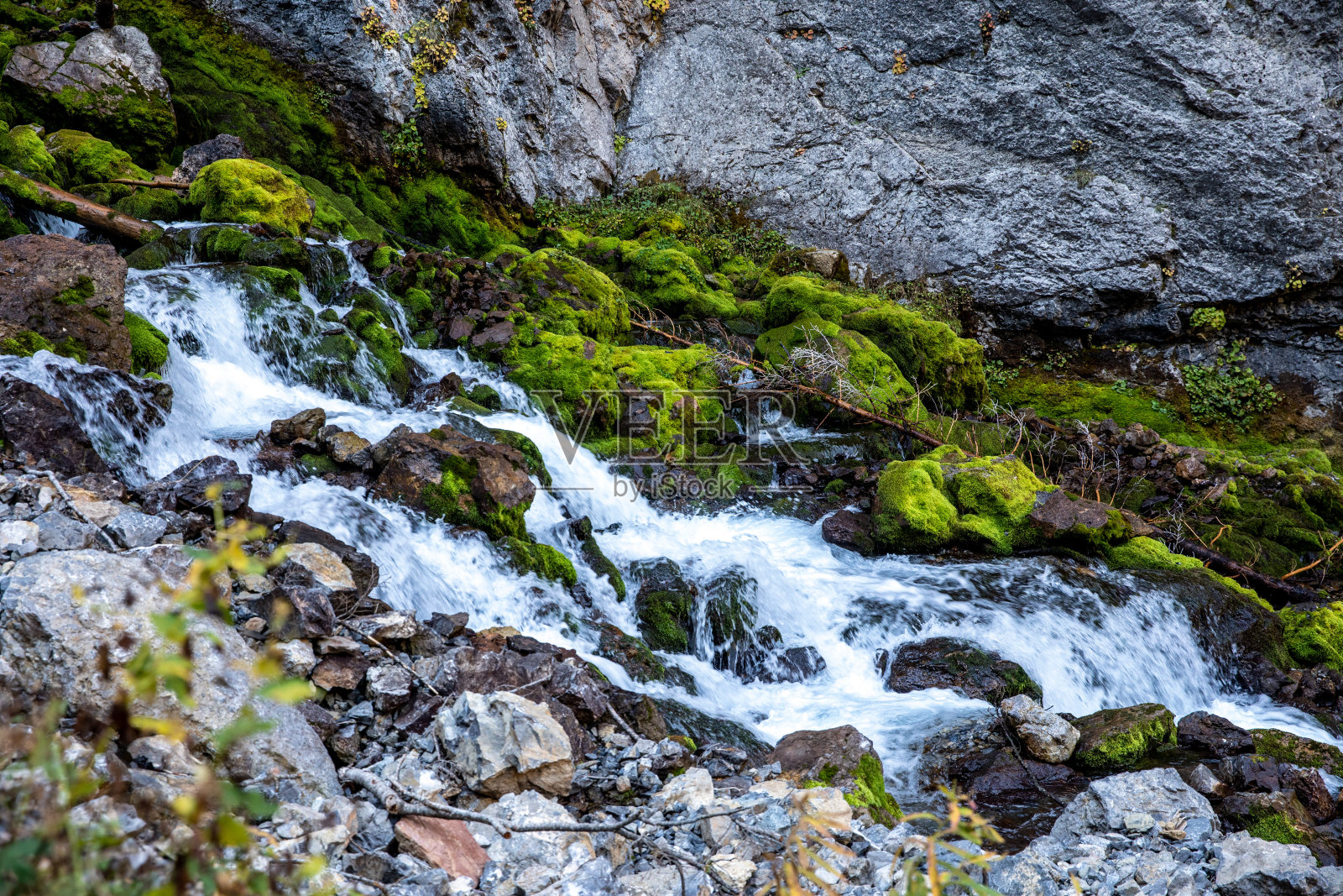 Afton断断续续的弹簧照片摄影图片