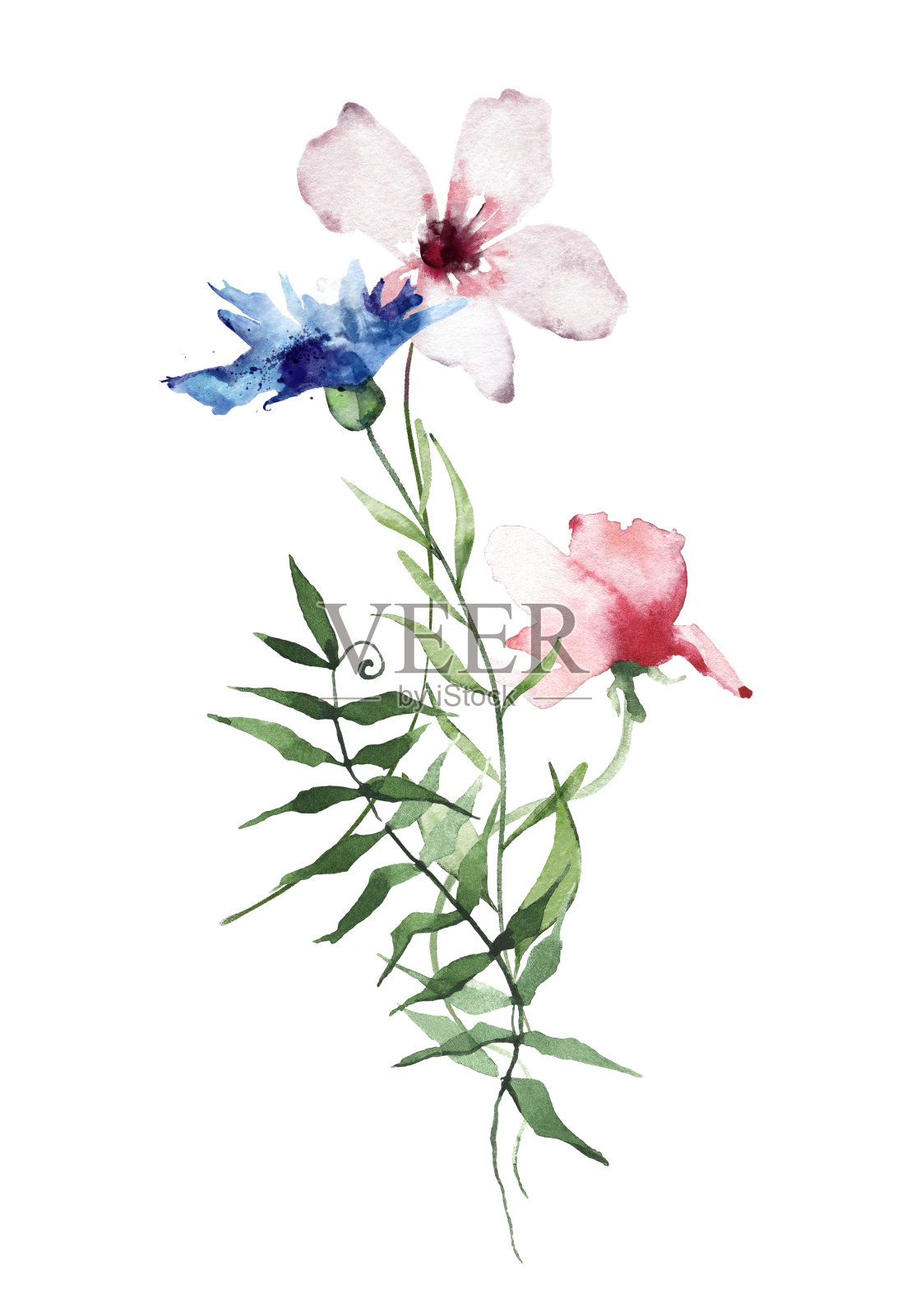 水彩花束与野生粉红色和蓝色的花，树枝，叶子，小树枝。手绘花卉插画插画图片素材