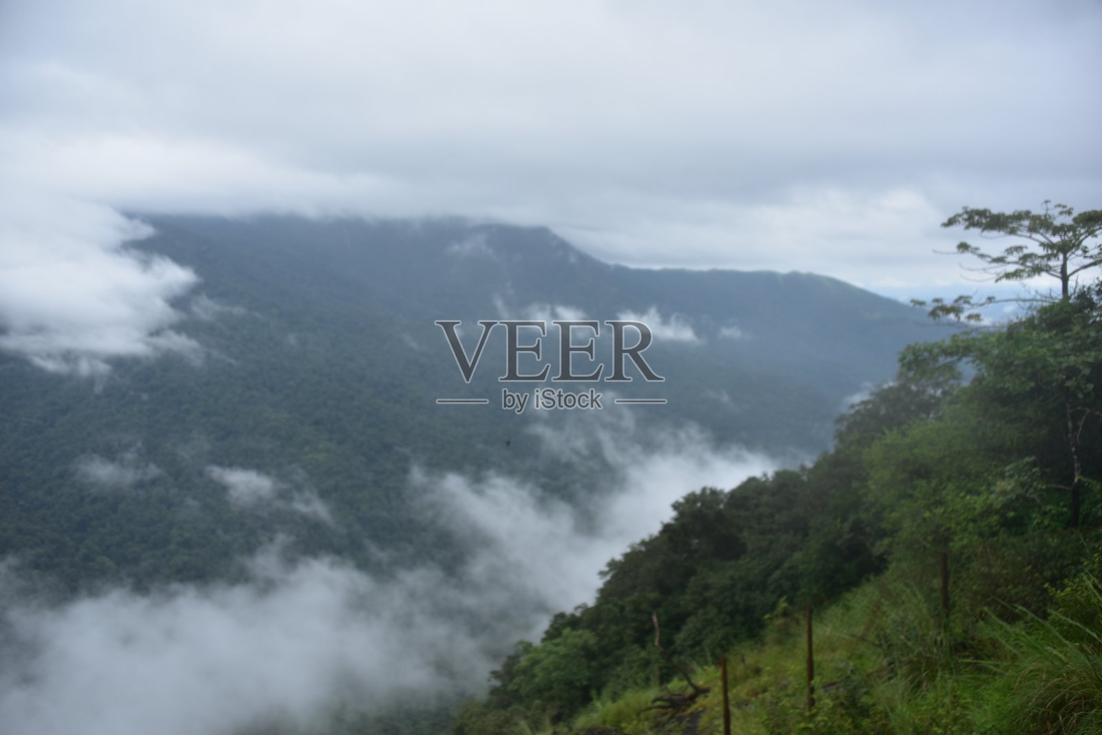 Bisle观景台，Sakleshpura山站，卡纳塔克邦，印度照片摄影图片