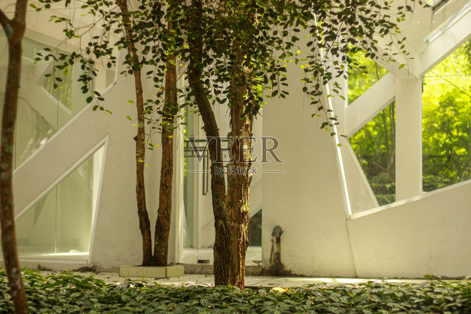 体系结构照片摄影图片