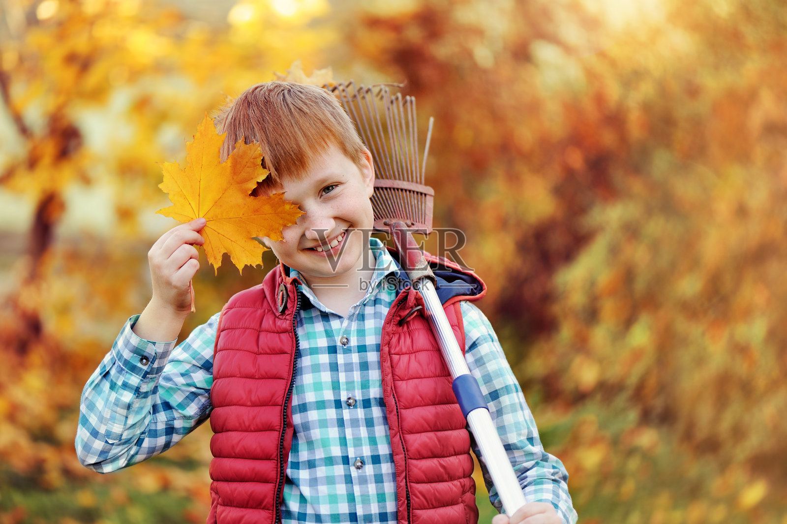 红头发的男孩把眼睛藏在秋叶后面照片摄影图片