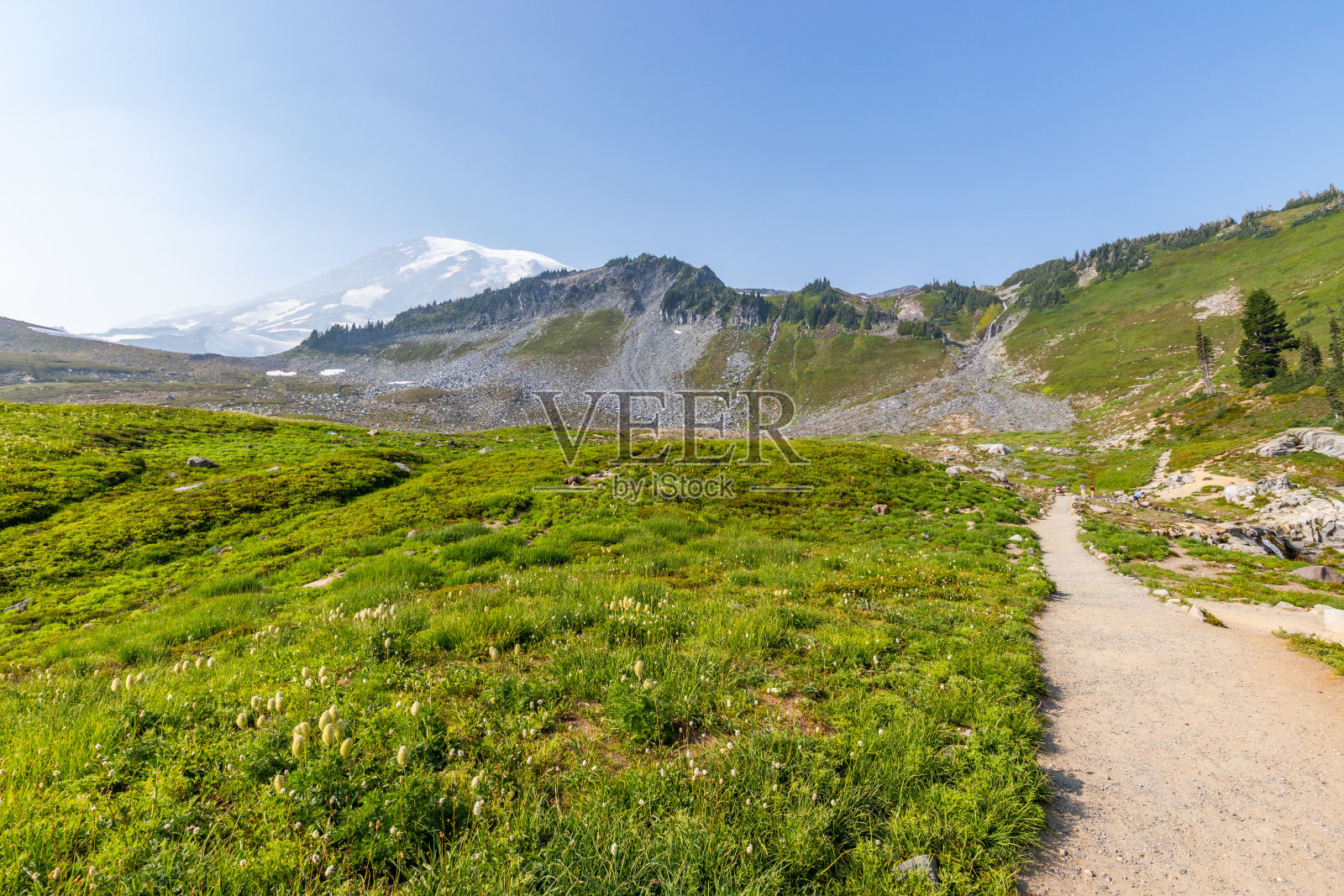 夏季山区景观。高高的山上有一条狭窄的小道。在蓝天映衬下的雪峰上，令人惊叹的景色。弗里蒙特山瞭望小径，日出区，雷尼尔山照片摄影图片