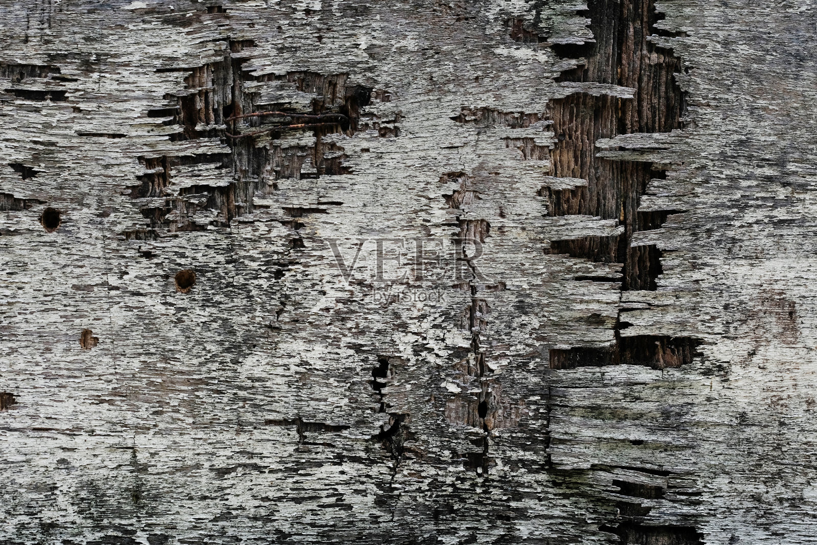 木头的纹理照片摄影图片