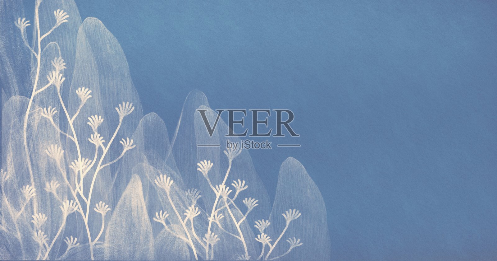 抽象白花画。叶子和花瓣。浪漫的艺术作品。插画图片素材