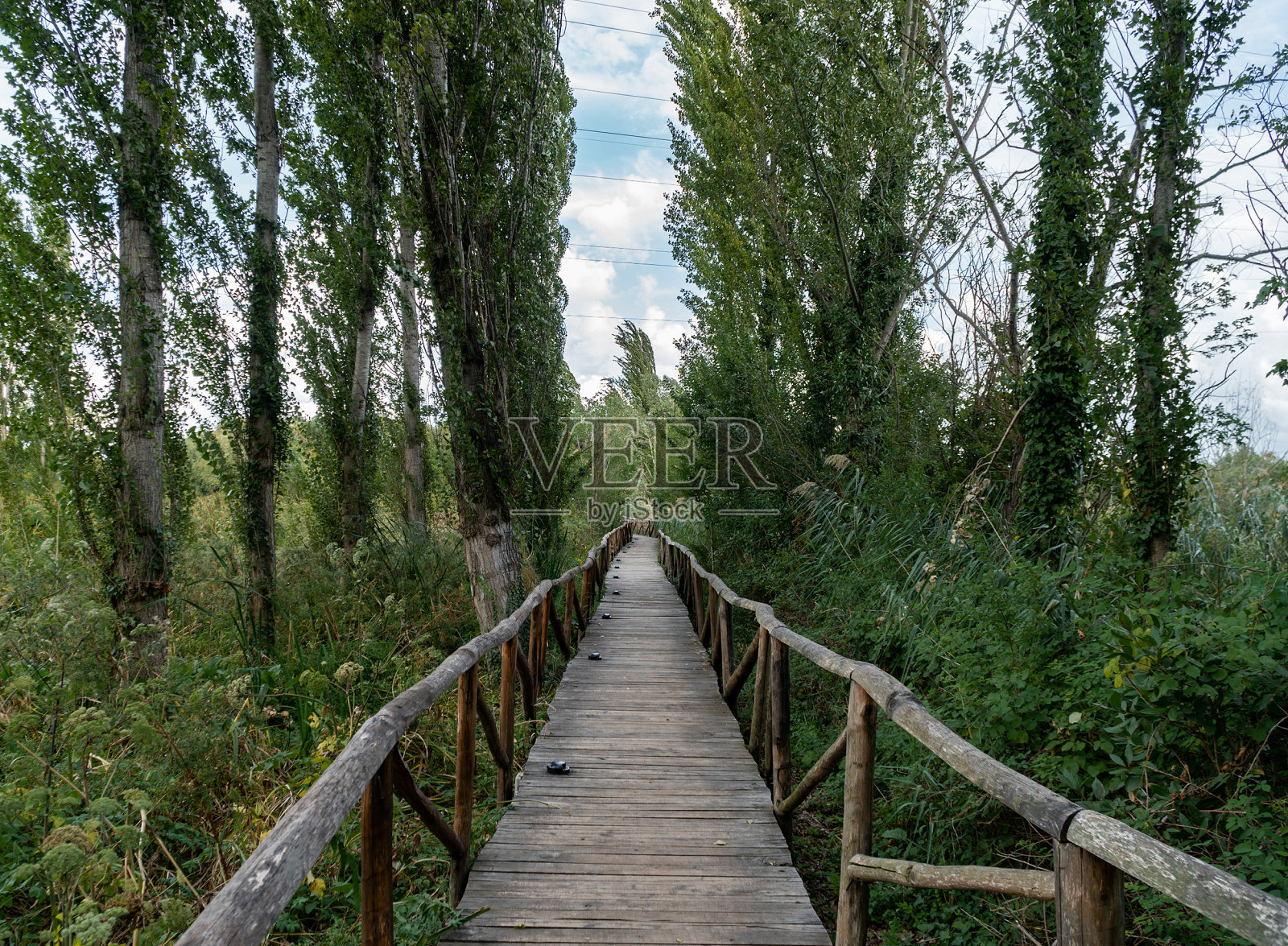 公园里的木制走道照片摄影图片