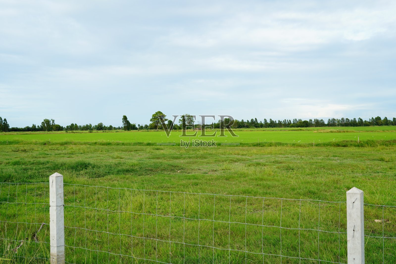蓝天白云下的绿草地照片摄影图片