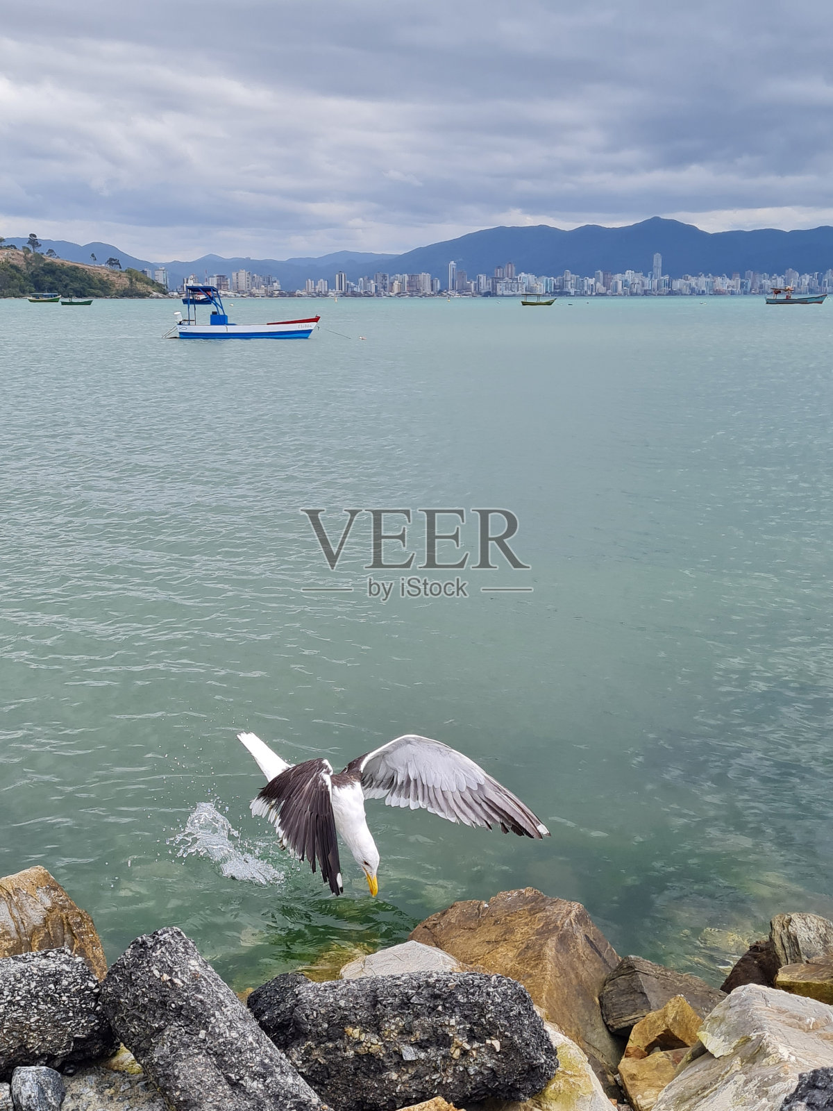 海滩照片摄影图片