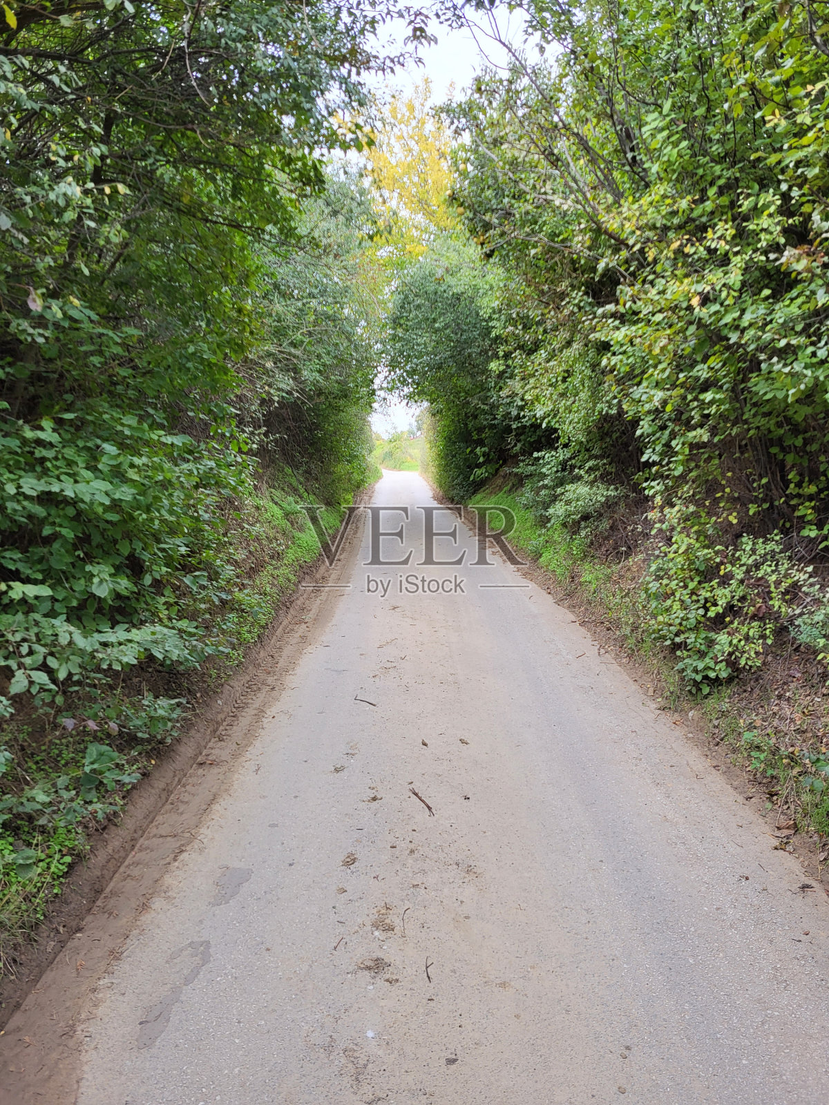 路照片摄影图片