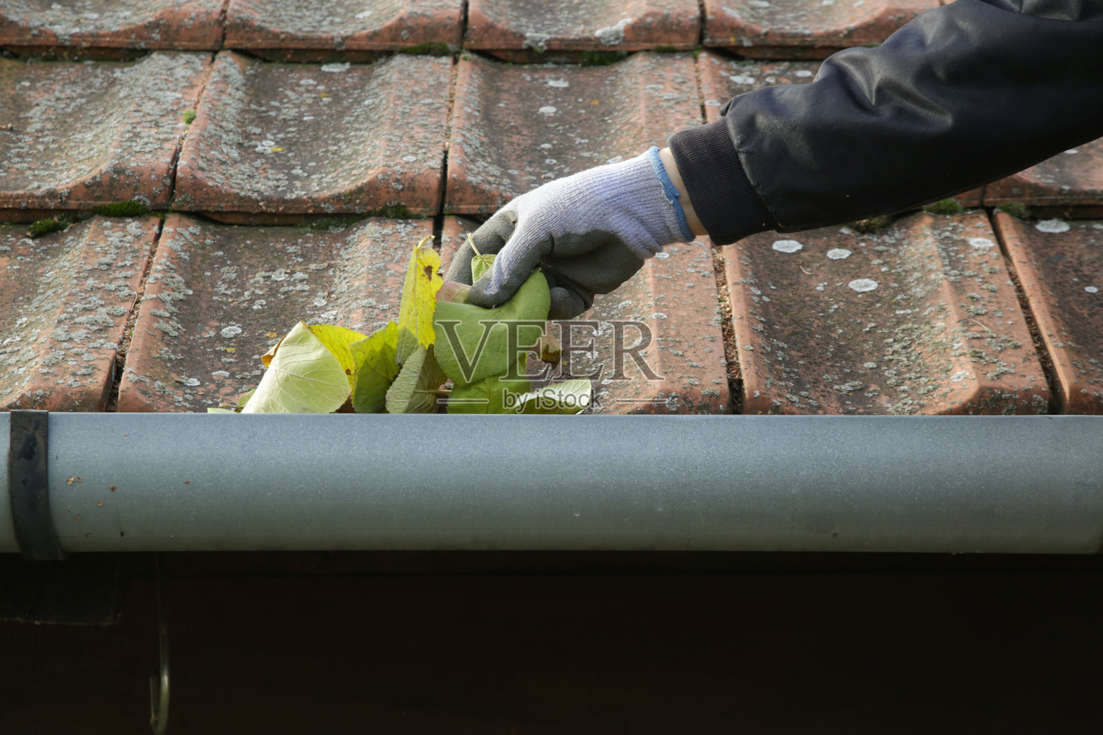 在冬天来临之前清理阴沟里的秋叶。屋顶天沟清洗过程。照片摄影图片