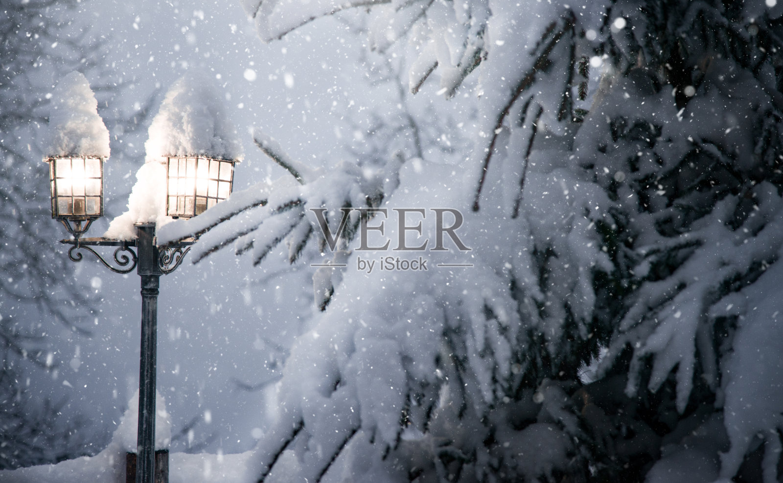 山松林里的路灯照片摄影图片