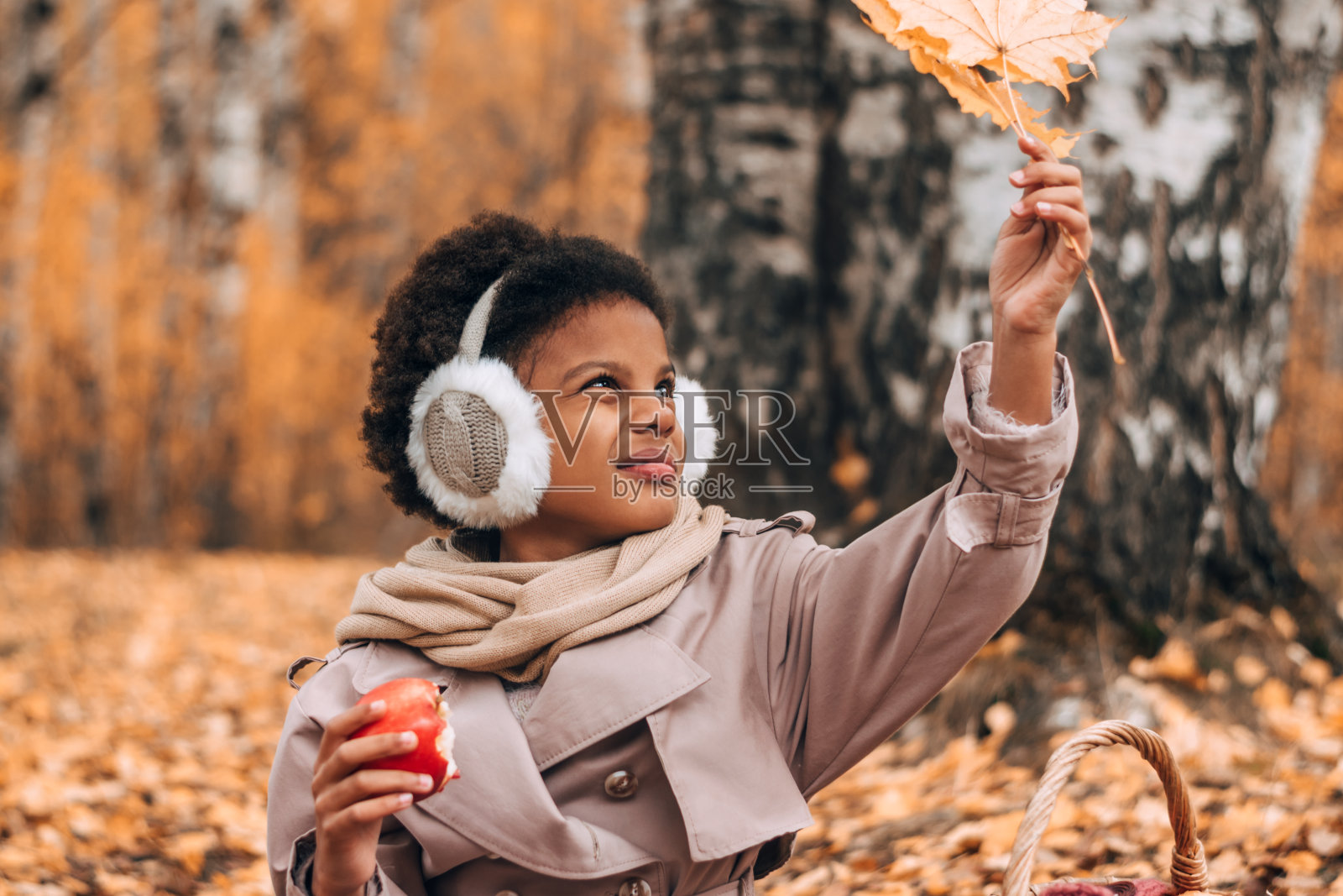 可爱的非洲裔美国女孩在秋季公园的野餐中吃苹果，欣赏着黄色的枫叶。多元化秋季概念照片摄影图片