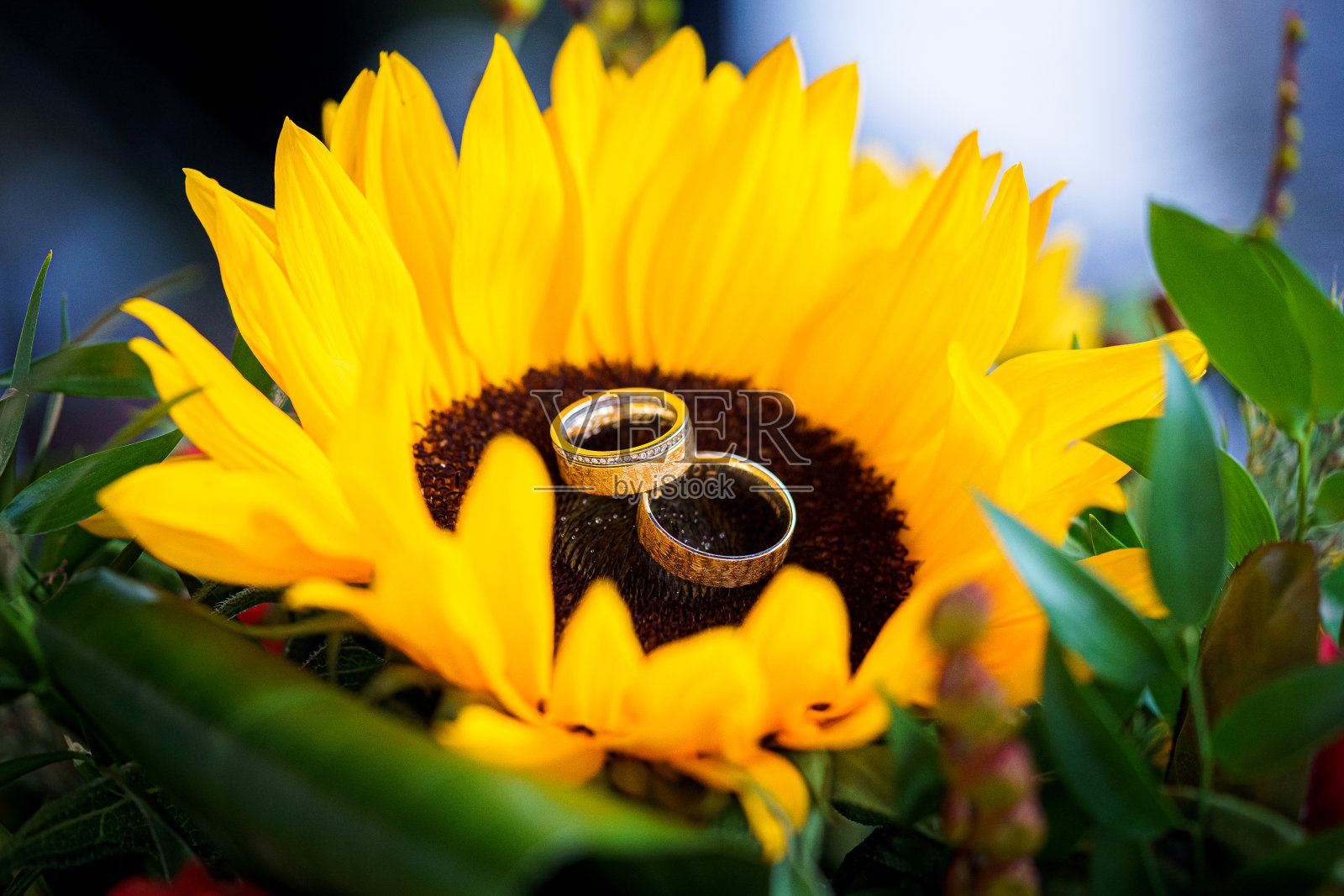 黄色新娘花束上的结婚戒指。照片摄影图片