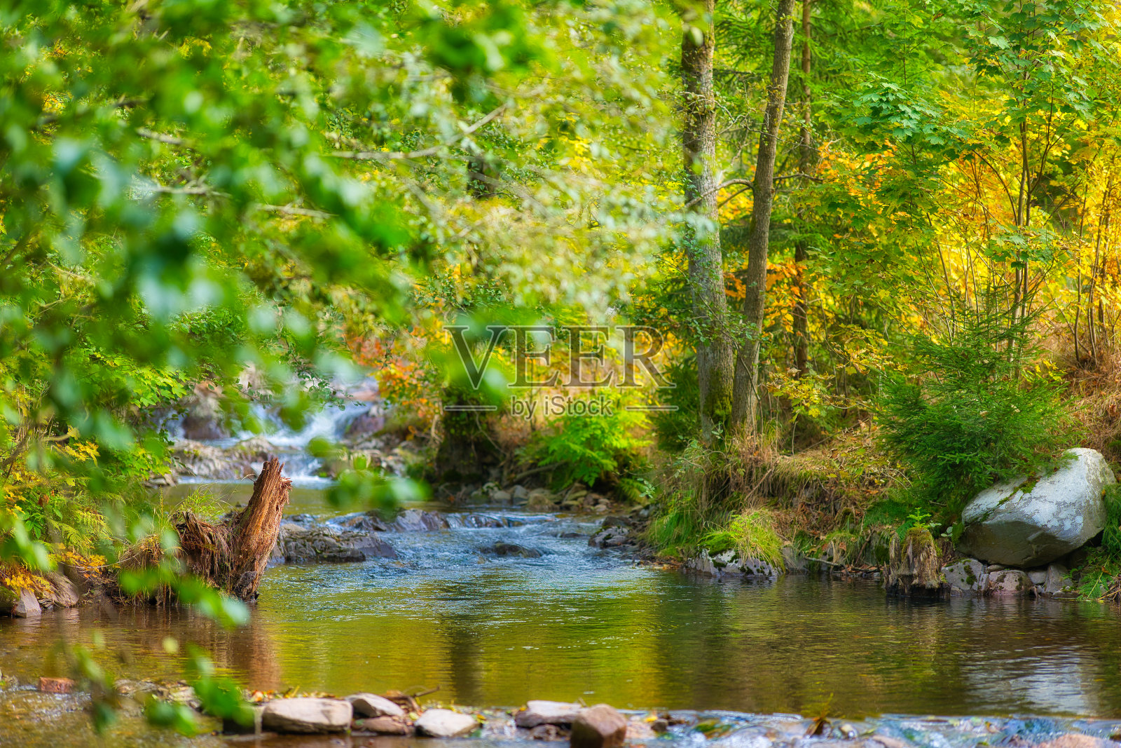 图林根森林的秋天心情照片摄影图片
