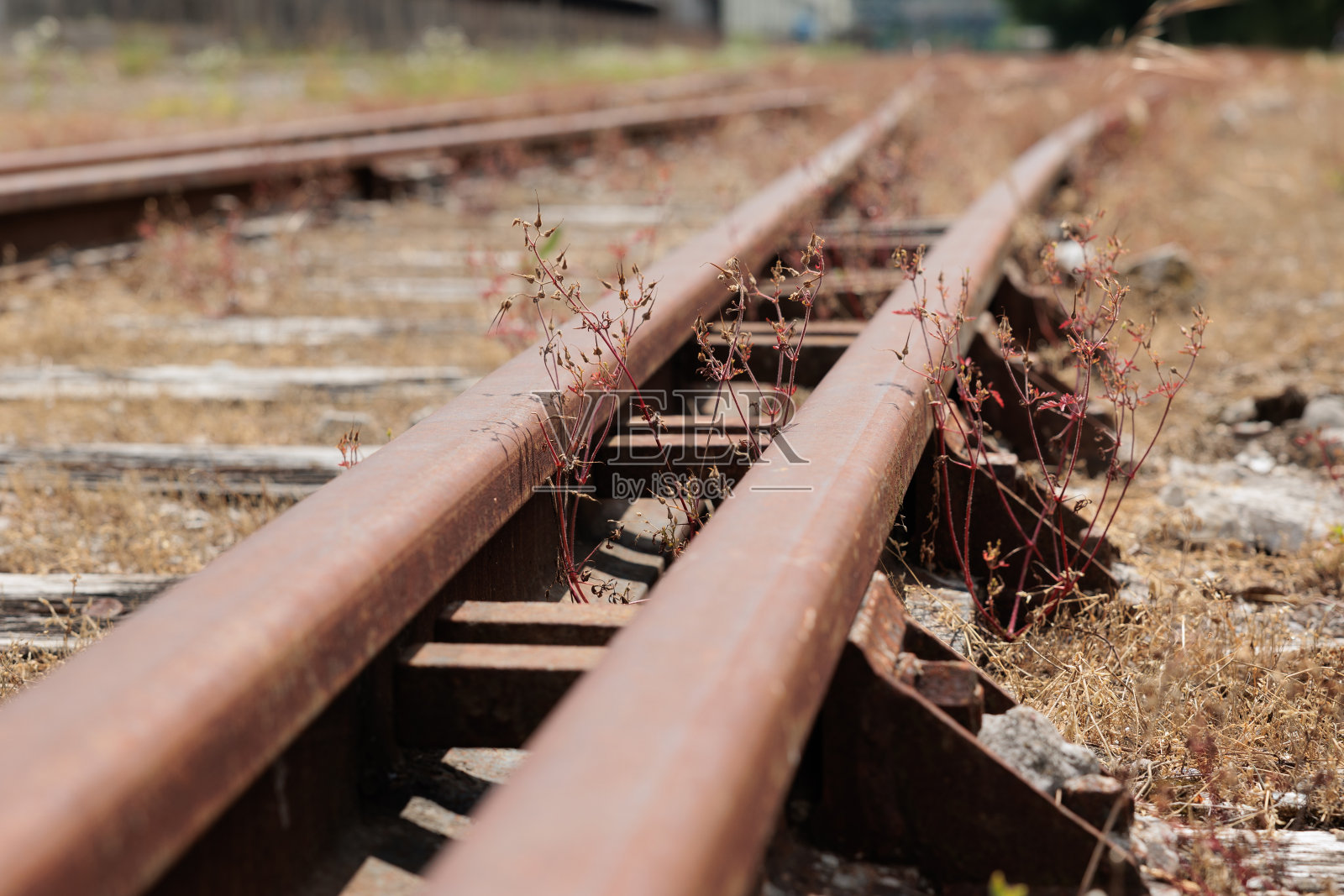 近距离观察铁路上的一些铁轨照片摄影图片