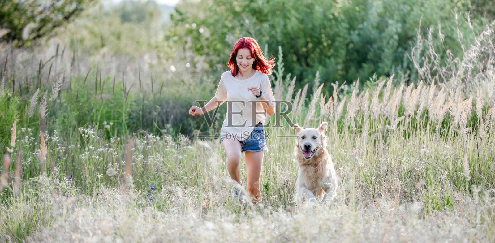 十几岁的女孩带着金毛猎犬照片摄影图片