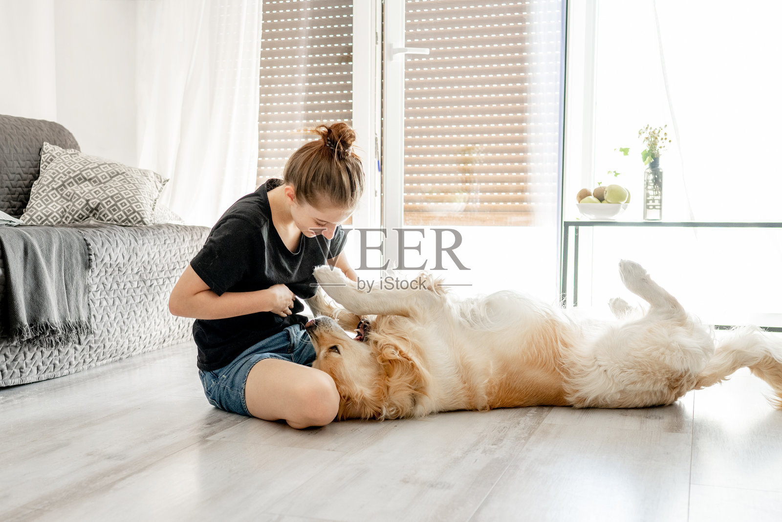 女孩带着金毛猎犬照片摄影图片