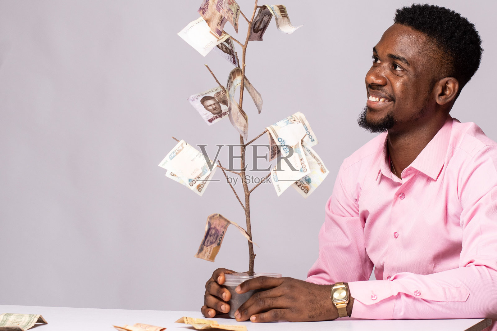 一个黑人看着一棵摇钱树照片摄影图片