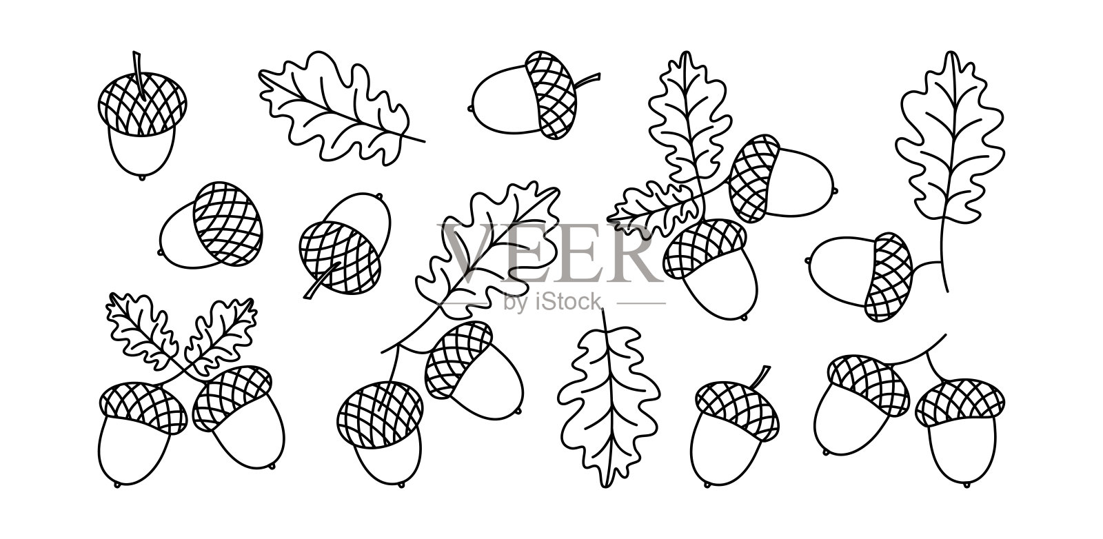 橡子矢量线图标，橡树叶，秋天的坚果和树枝，黑色轮廓剪影。圣诞节的简单说明插画图片素材